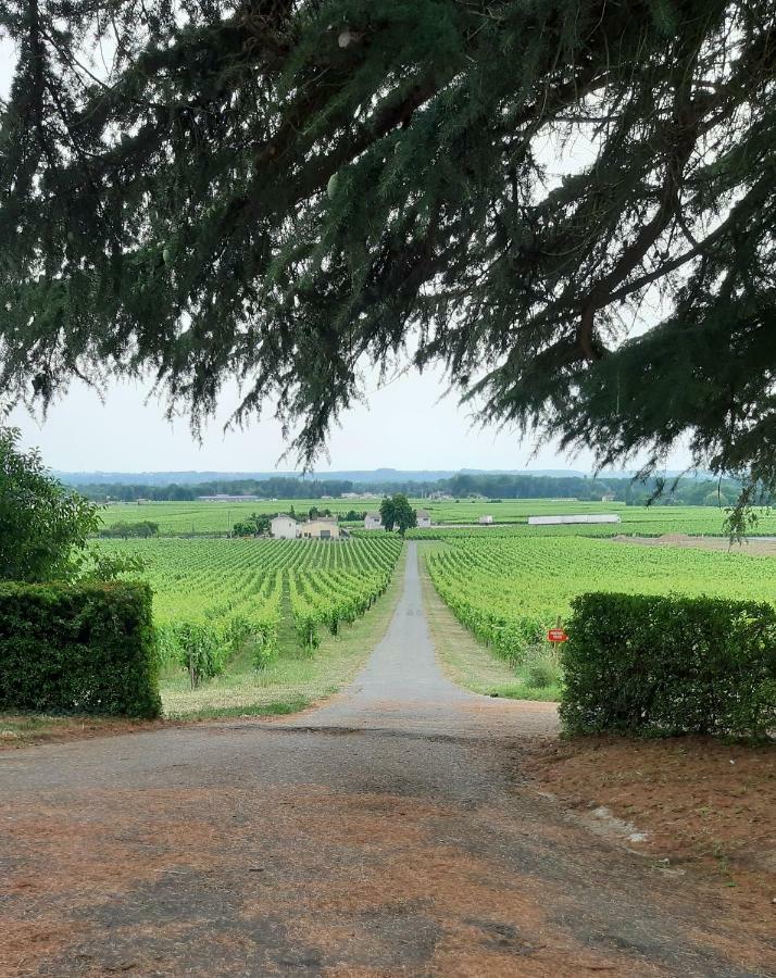 A L'Ombre De La Treille -Proche Saint-Emilion Bed & Breakfast Luaran gambar
